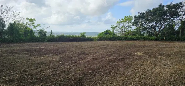 MABO, Humacao, PR 00791