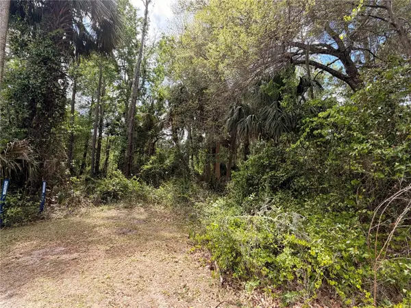 COUNTY ROAD 445A, Astor, FL 32102
