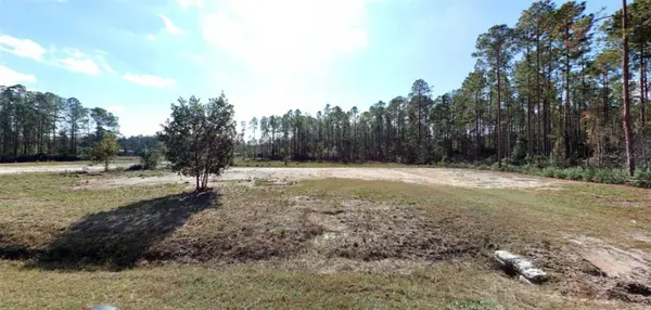 JOYCE ST, Hastings, FL 32145