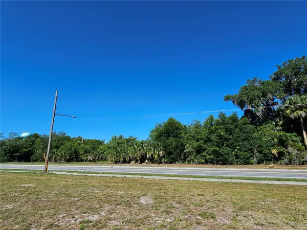 123 W 2ND AVE, Pierson, FL 32180