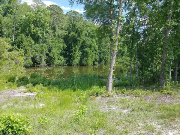 0000 EAGLE BLVD, Land O Lakes, FL 34639