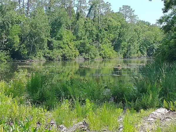 0000 EAGLE BLVD, Land O Lakes, FL 34639
