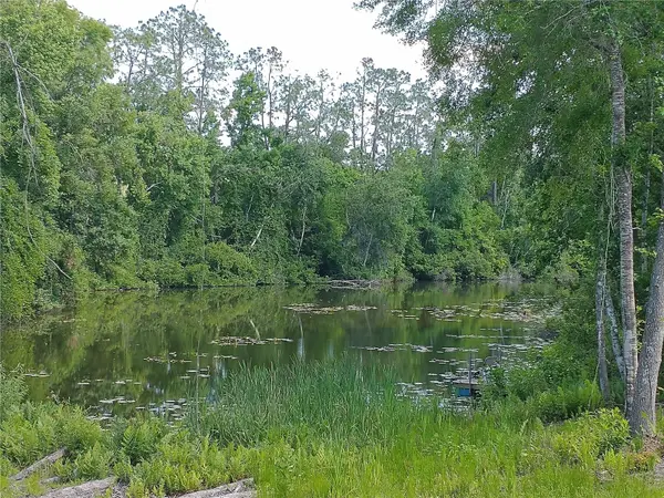 0000 EAGLE BLVD, Land O Lakes, FL 34639