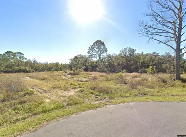 316 BASS LN, Kissimmee, FL 34759