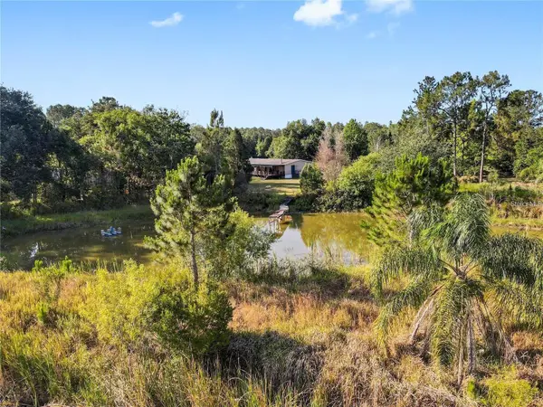 13921 PINE MEADOW RD, Kathleen, FL 33849