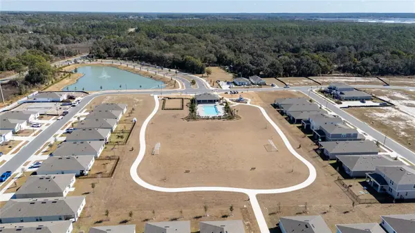 955 BEAR HAMMOCK DR, Umatilla, FL 32784