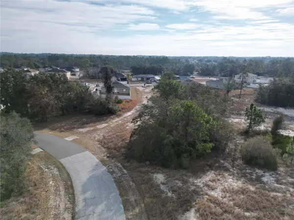 1319 HILLSBOROUGH LN, Kissimmee, FL 34759