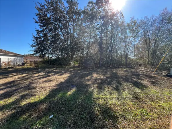CAMBOURNE DR, Kissimmee, FL 34758