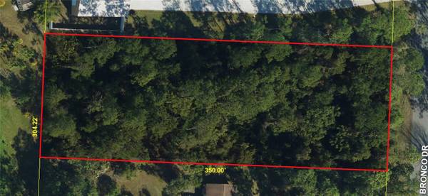 2340 BRONCO DR, St Cloud, FL 34771