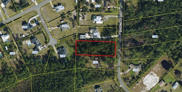 2340 BRONCO DR, St Cloud, FL 34771