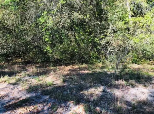 OAKRIDGE DR, Lady Lake, FL 32159