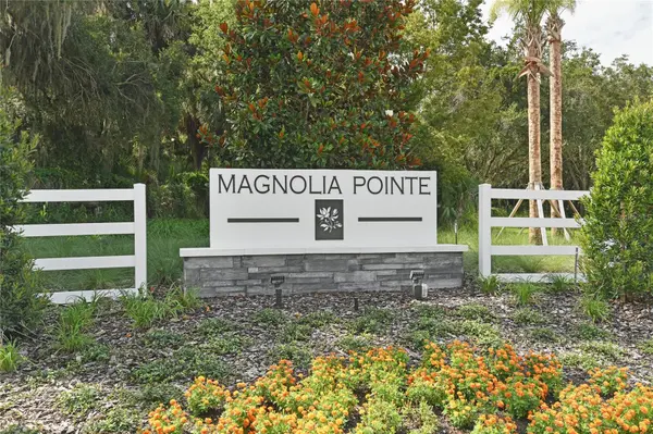 168 FLAG LILLY LN, Umatilla, FL 32784