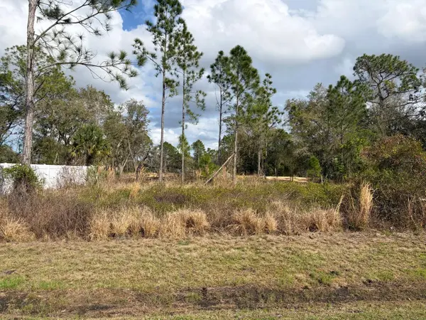 202 SPOONBILL DR, Poinciana, FL 34759