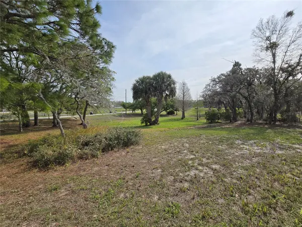 PETES LN, Davenport, FL 33837