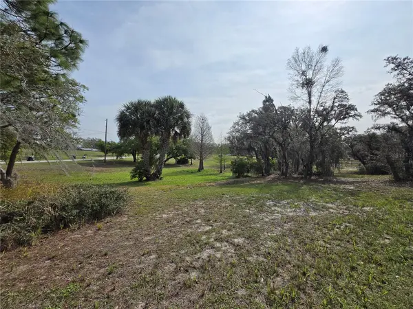 PETES LN, Davenport, FL 33837