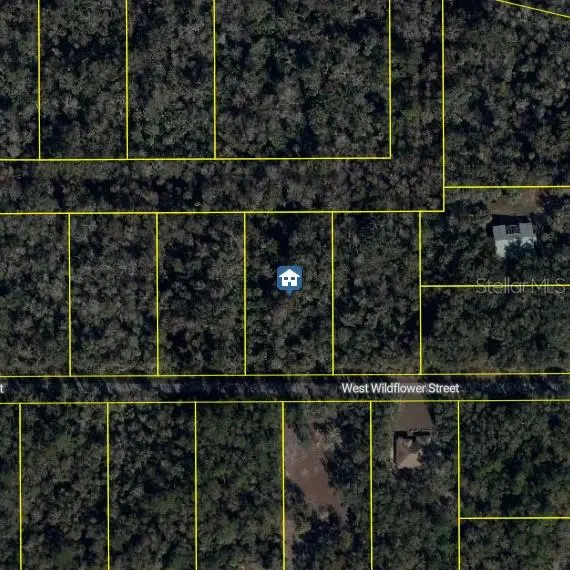 11939 W WILDFLOWER ST, Crystal River, FL 34428