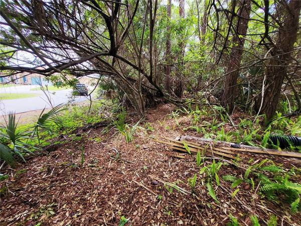 1720 LANTANA CT NW, Palm Bay, FL 32907