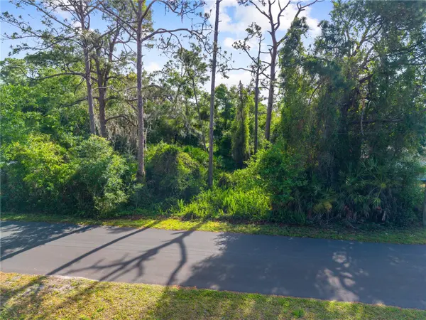 BURTON DR, St Cloud, FL 34771