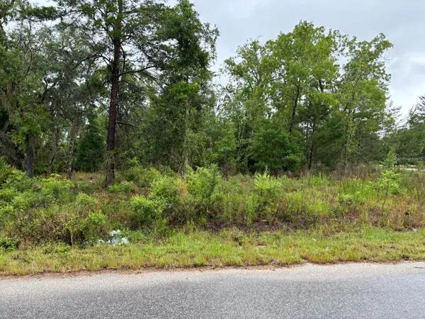 1 MALAUKA RADIAL DR, Ocklawaha, FL 32179