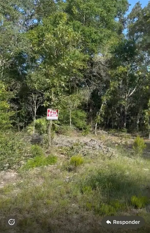 NE 97TH CT, Bronson, FL 32621
