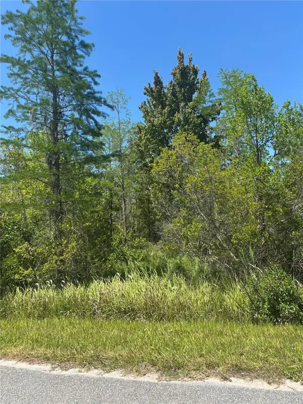 ATLAS DR, St Cloud, FL 34773