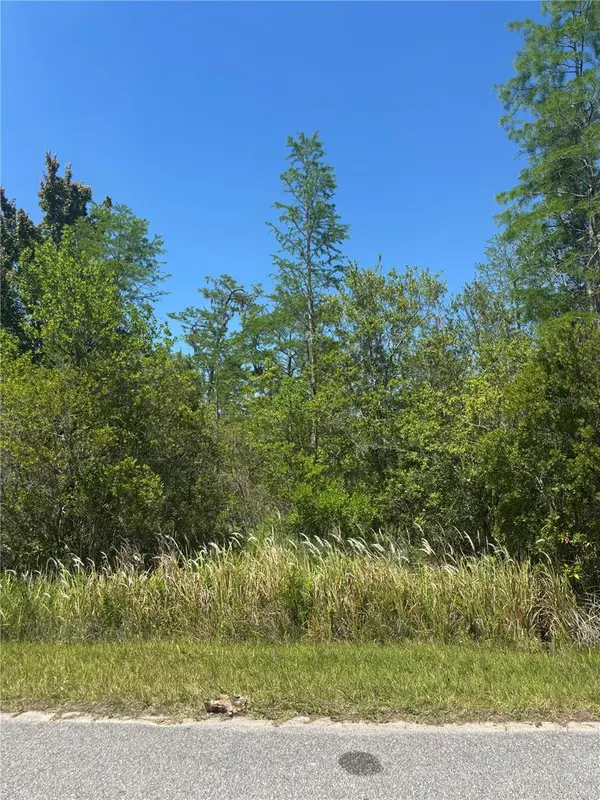 ATLAS DR, St Cloud, FL 34773