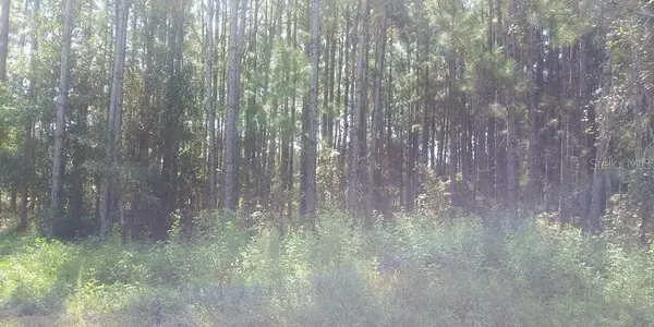 POYNER RD, Polk City, FL 33868