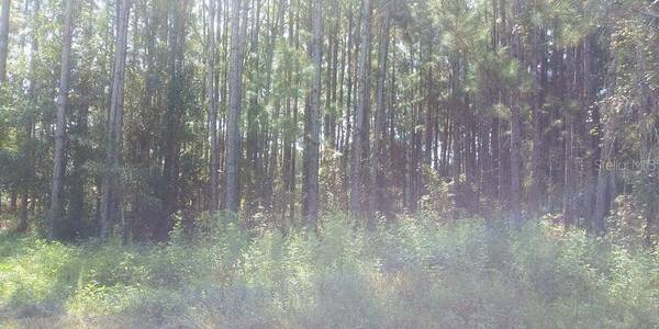POYNER RD, Polk City, FL 33868