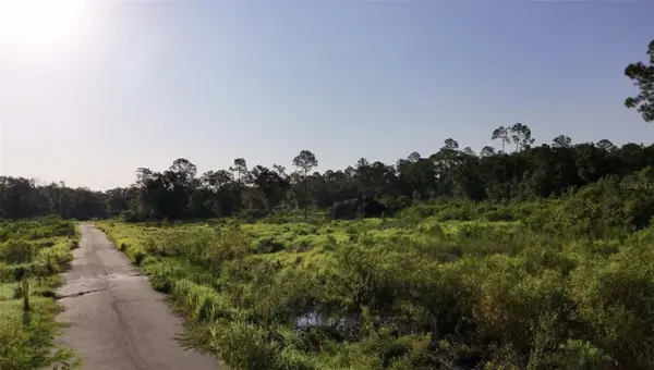 AVONWOOD, Tampa, FL 33625