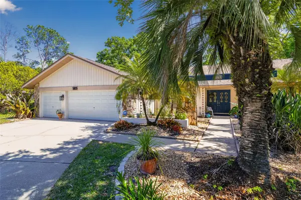5035 BARROWE DR, Tampa, FL 33624