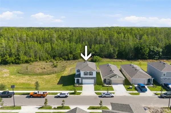 17786 ACORN DROP RD, Land O Lakes, FL 34638