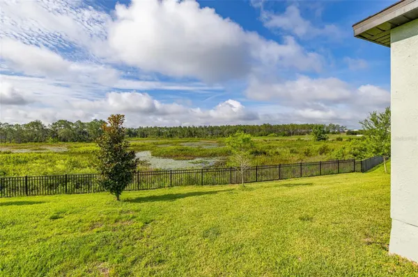 2236 DERWENT DR, Davenport, FL 33896