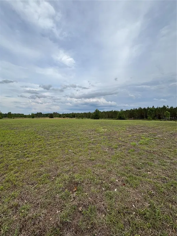974 SW SHERLOCK TER, Lake City, FL 32024