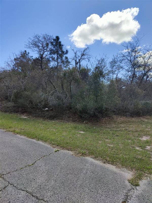 408 VERNON CT, Kissimmee, FL 34759