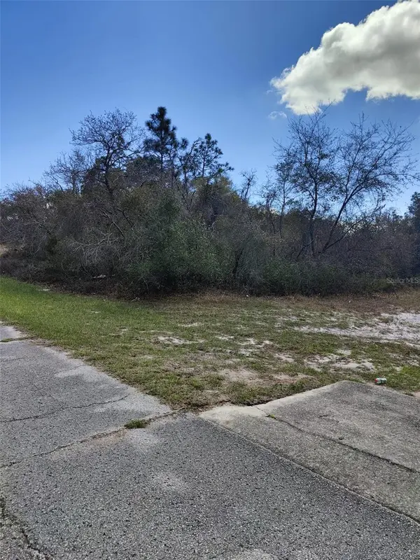 408 VERNON CT, Kissimmee, FL 34759