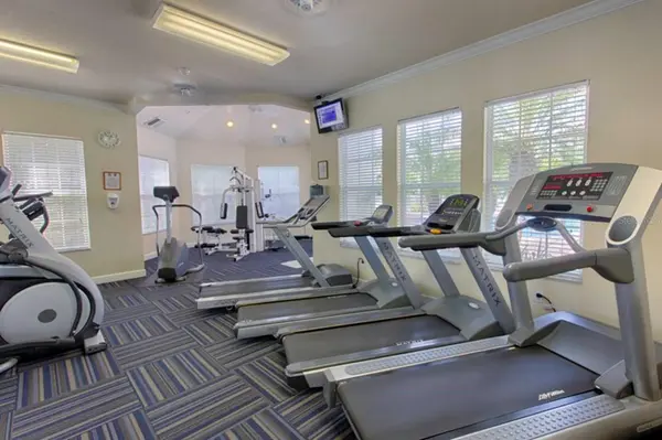 8100 PRINCESS PALM LN #203, Kissimmee, FL 34747