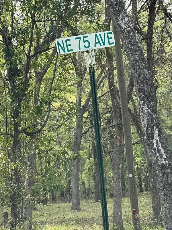 0000 NE 125TH ST, Bronson, FL 32621