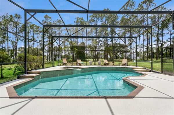 259 NORTHAMPTON DR, Davenport, FL 33897
