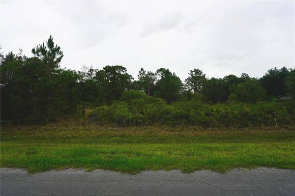 REYNOLDS Pkwy, Orlando, FL 32833