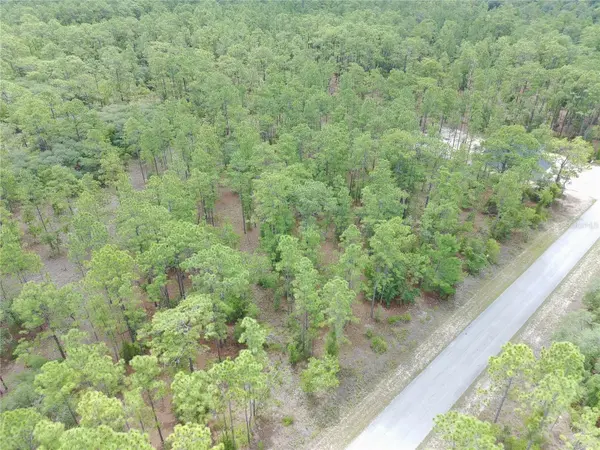 SW BUENA VISTA RD, Dunnellon, FL 34431