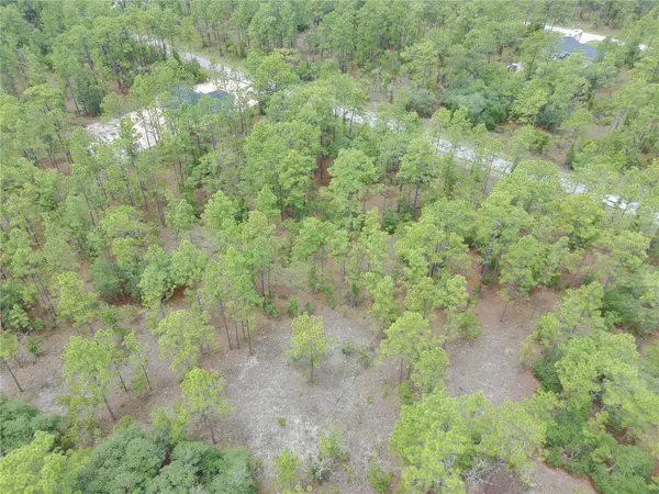 SW BUENA VISTA RD, Dunnellon, FL 34431