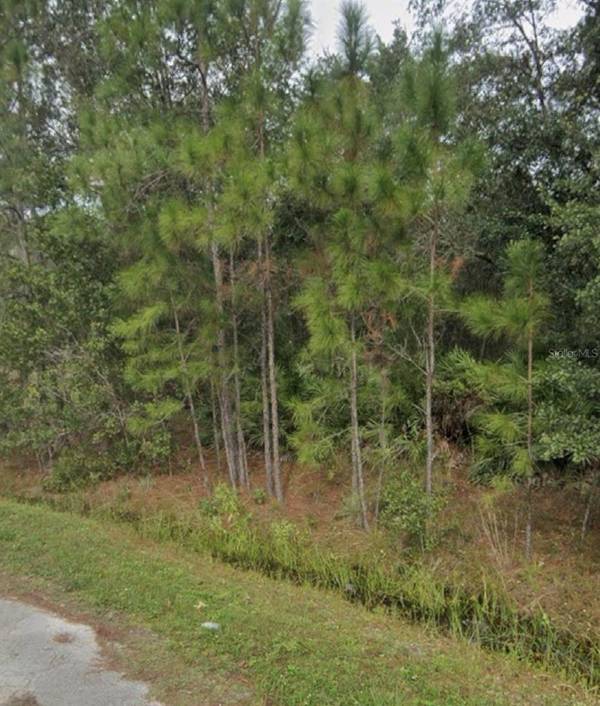 1437 TERN CT, Poinciana, FL 34759