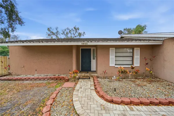 4602 BUCKEYE RD, Tampa, FL 33624