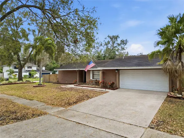 4602 BUCKEYE RD, Tampa, FL 33624