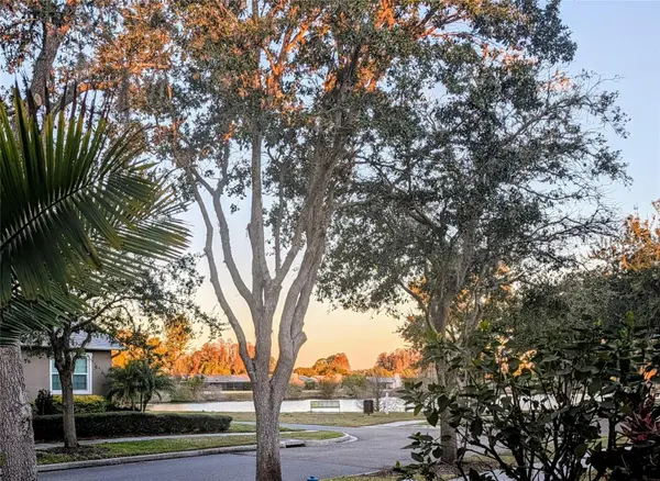 3618 BUFFETT ST, New Port Richey, FL 34655