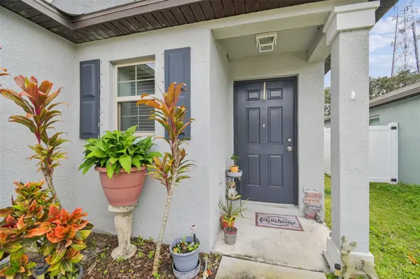 10248 CARLOWAY HILLS DR, Wimauma, FL 33598