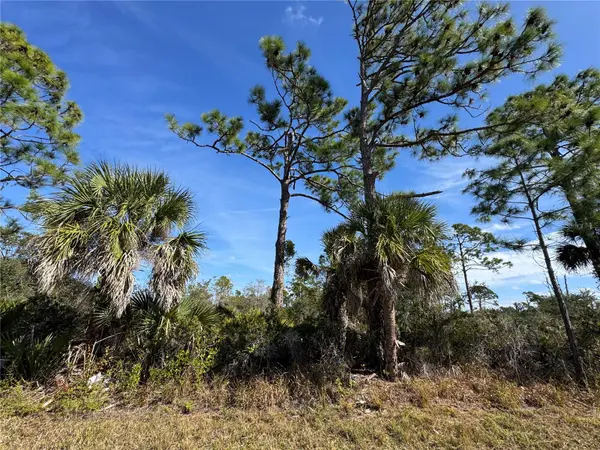 3110 GILLOT BLVD, Port Charlotte, FL 33981