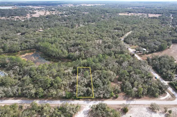LEWIS LN, Webster, FL 33597