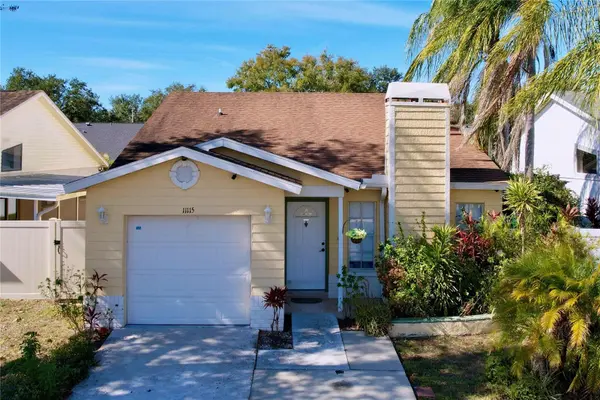11115 CHERRYWOOD LN, Riverview, FL 33579