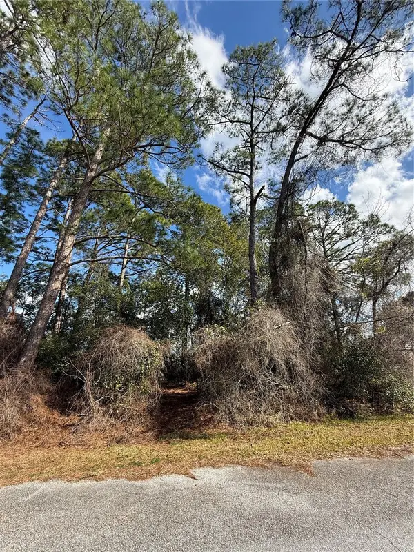 TBD SE 190TH AVENUE, Silver Springs, FL 34488